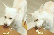 Load image into Gallery viewer, Cloud Kumo Mini Memo Pad