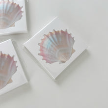 Load image into Gallery viewer, Shell Memo Pad