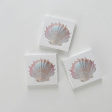 Load image into Gallery viewer, Shell Memo Pad