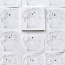 Load image into Gallery viewer, Cafe Pan Memo Pad