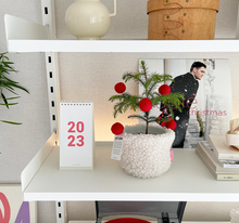 Load image into Gallery viewer, Fluffy Plant Pot Cover - IVORY