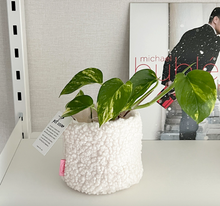 Load image into Gallery viewer, Fluffy Plant Pot Cover - IVORY