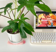 Load image into Gallery viewer, Fluffy Tea Coaster - PINK