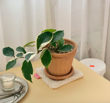 Load image into Gallery viewer, Fluffy Tea Coaster - IVORY