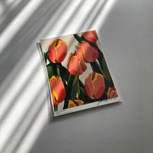 Load image into Gallery viewer, A5 Flower Poster - Mango Tulip