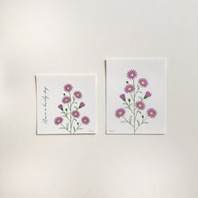 Load image into Gallery viewer, Flower Postcard Set (Peacock Grass)
