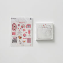 Load image into Gallery viewer, PANOPTICON MEMO &amp; STICKER SETS
