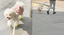 Load image into Gallery viewer, Walking Puppy Epoxy Seal Sticker
