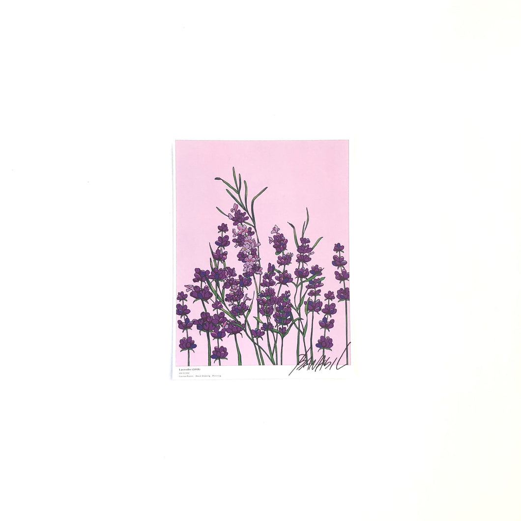 A5 Flower Poster - Lavender