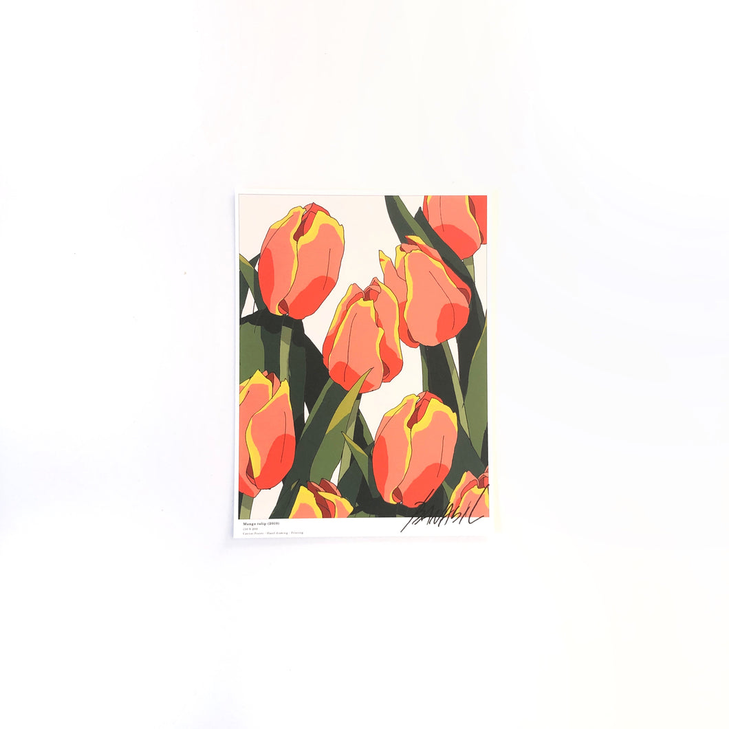 A5 Flower Poster - Mango Tulip