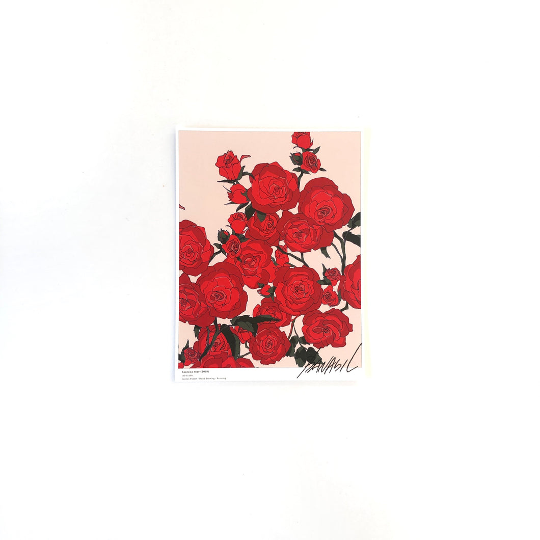 A5 Flower Poster - Santana Rose (PINK)