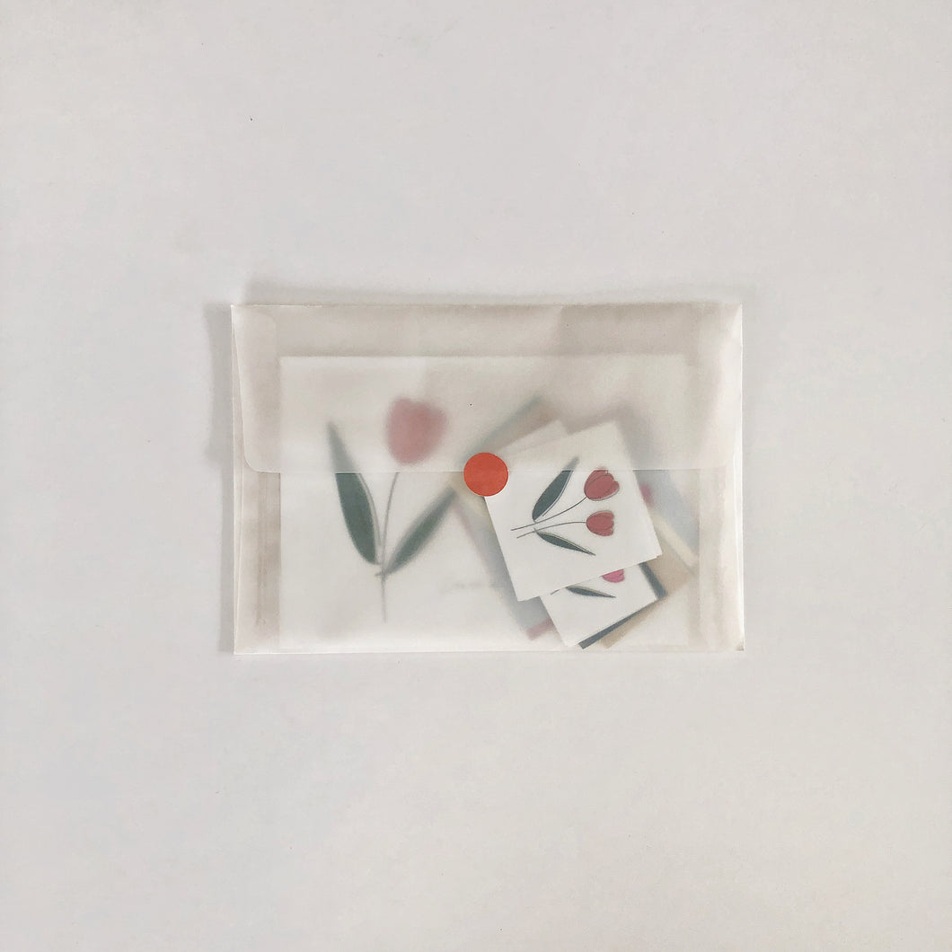 Tulip Mix Pack