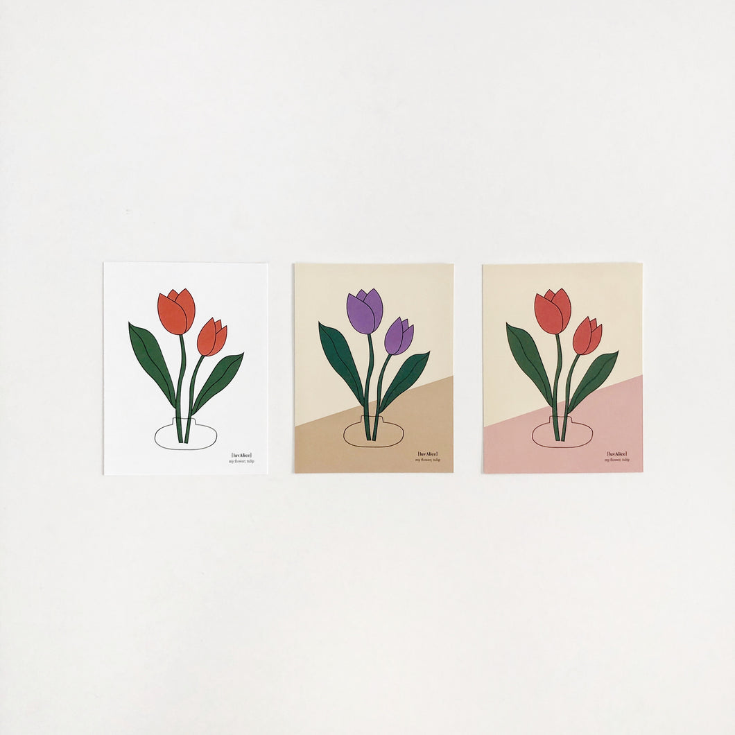 Tulip Postcard (ea)